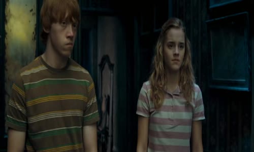 Harry Potter a Fénixův řád--CZ-dabing,Fantasy,2007 avi