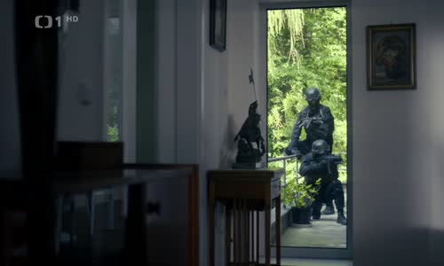Svět pod hlavou 1 - Stín kapradiny - Ivan Trojan, Judit Bárdos 2017 Cz - mkv