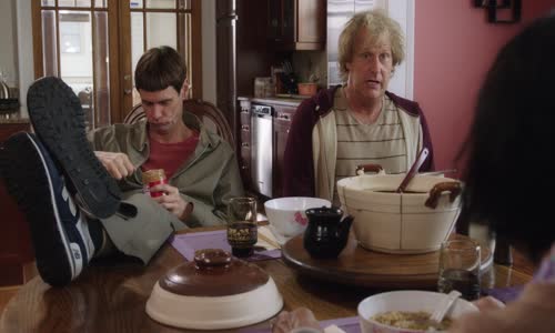 Blbý a blbší sú späť - Návrat blbýho a blbějšího - Dumb and Dumber To  2014 EN CZ SK BDRip 720p mkv