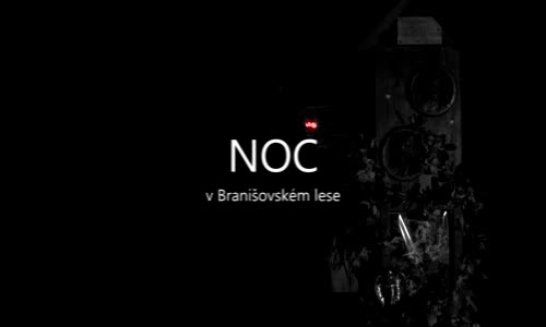 Děsivá místa - BRANIŠOVSKÝ LES Noc v nejstrašidelnějším českém lese mp4