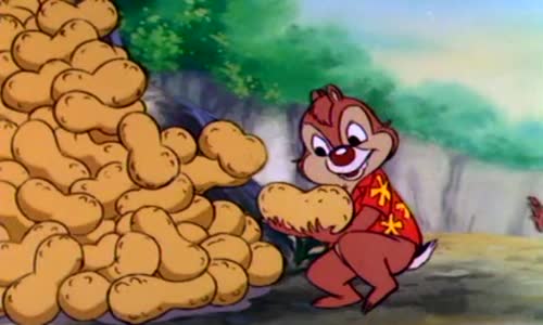 Rychla rota Chip a Dale 17 -Slon nikdy neupodozrieva Sk avi