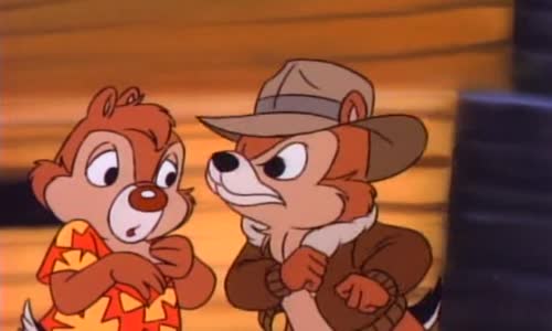 Rychla rota Chip a Dale 22 -Pripad fanklubu coly Sk avi