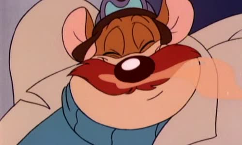 Rychla Rota-Chip a Dale-E01  Kocicarny Cz avi