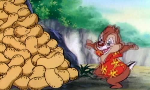 Rychla Rota-Chip a Dale-E17  Zlodeji buraku Cz avi