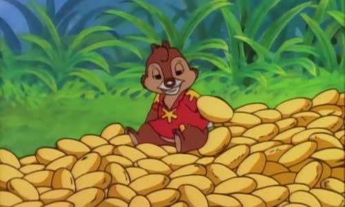 Rychla Rota-Chip a Dale-E54  Pufalici Cz avi