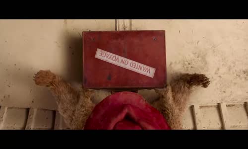 Paddington (2014) CZ dabing HD mp4