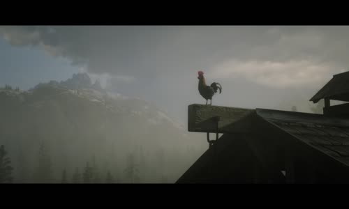 Red Dead Redemption 2_20241214012542 mp4