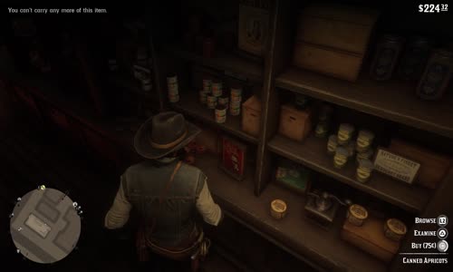 Red Dead Redemption 2_20241214031631 mp4