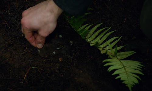 Grimm S01e12 mkv
