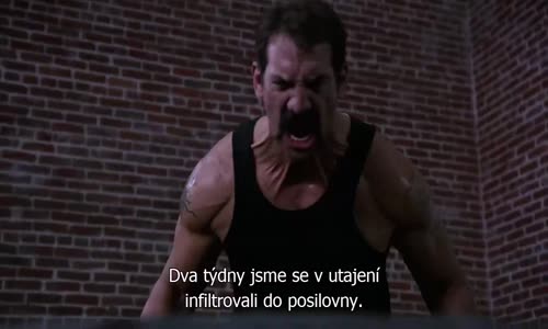 Brooklyn Nine-Nine (Brooklyn 99) S01E14 CzTit avi