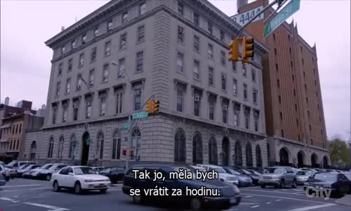 Brooklyn Nine-Nine (Brooklyn 99) S04E21 CzTit mp4