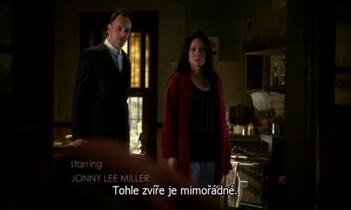 Elementary S04E21 CzTit mp4