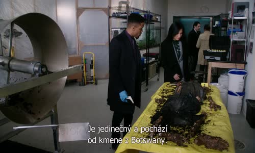 Elementary S06E17 CzTit mp4