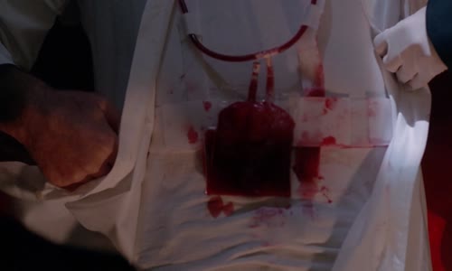 Akty X, The X-Files, S03E11, 1993, SK avi