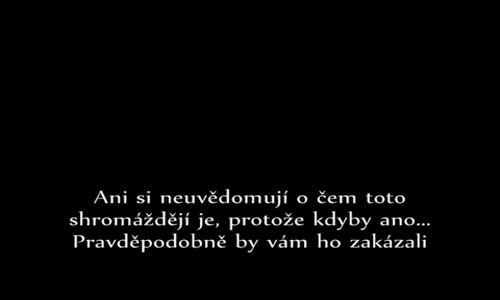Tolle text 2 flv