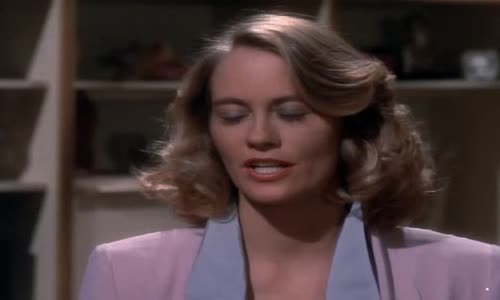 Moonlighting (Měsíční svit) S03E15 CzDab mp4