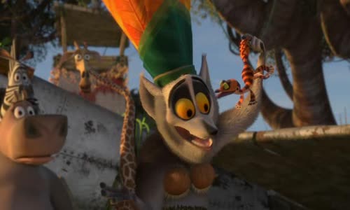 Madagaskar-2-ĂštÄ›k-do-Afriky avi