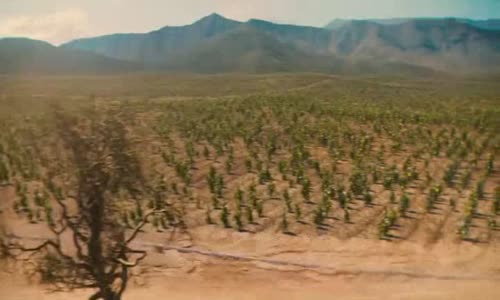 Narcos Mexico S01E02 CzTit avi