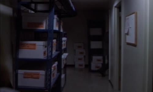 X-Files (Akta X) S01E01 CzDab avi