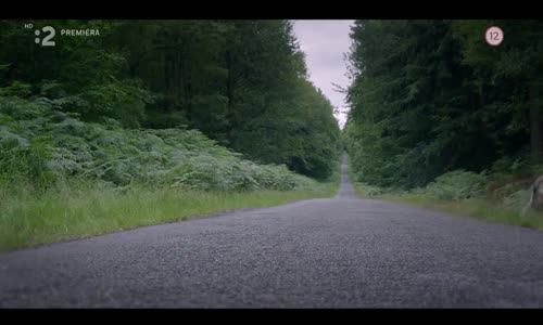 Vlčí putování mp4
