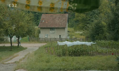 Bratrství (2021) CS subtitles (1080p) mp4