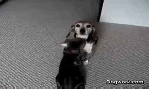 PES a KOCKA wmv
