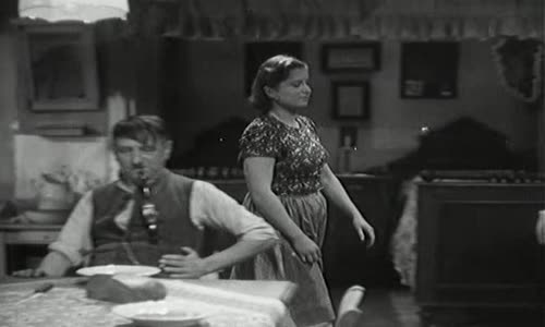 1947 Uloupena hranice avi avi