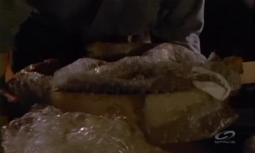 Faktor Psí S01E11-Faraonova kletba_Anděl na palubě avi