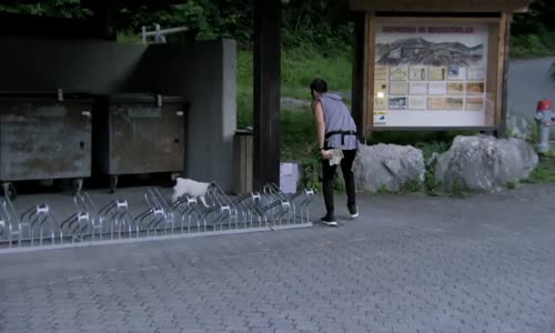 The Amazing Race S31E08 CzTit mp4