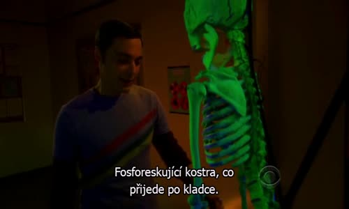 The Big Bang Theory S05E07 CzTit avi