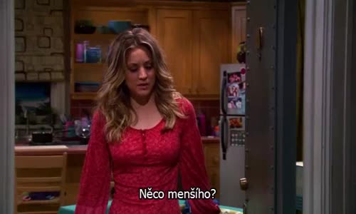 The Big Bang Theory S05E17 CzTit avi