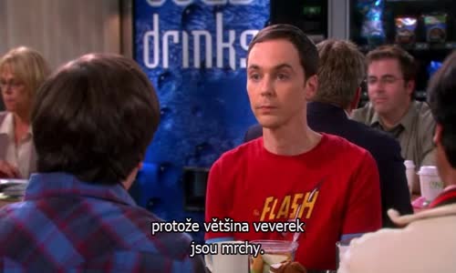 The Big Bang Theory S06E09 CzTit avi