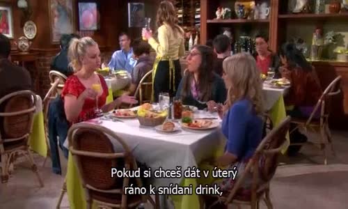 The Big Bang Theory S06E13 CzTit avi