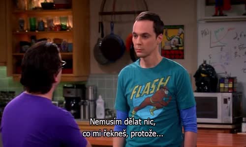 The Big Bang Theory S06E15 CzTit avi