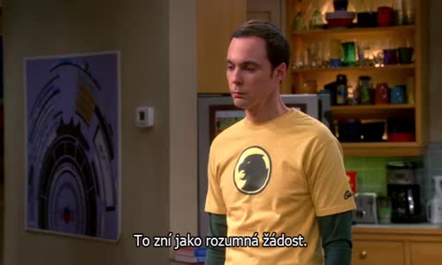 The Big Bang Theory S07E08 CzTit avi