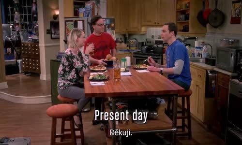 The Big Bang Theory S09E11 CzTit avi