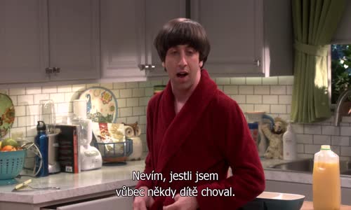 The Big Bang Theory S09E16 CzTit avi