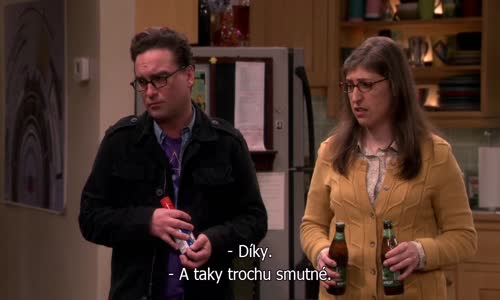 The Big Bang Theory S10E14 CzTit avi