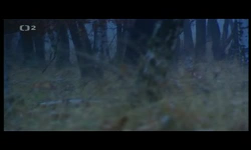 Příběhy železné opony - Bloudění v zóně smrti avi