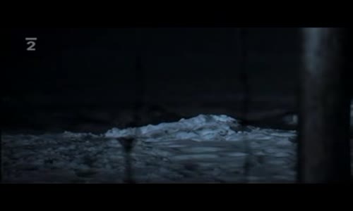 Velky Utek-Great-Escape-2010 cz dub avi