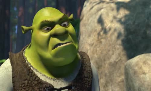 Shrek 1 (animované) avi