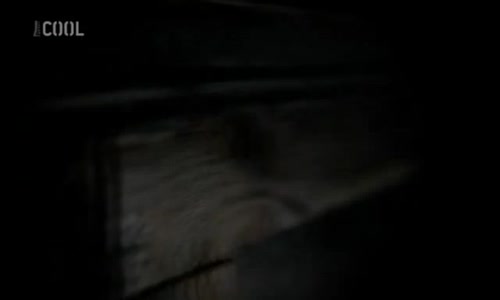 Warehouse 13 (Skladiste 13) S01E08 CzDab mp4