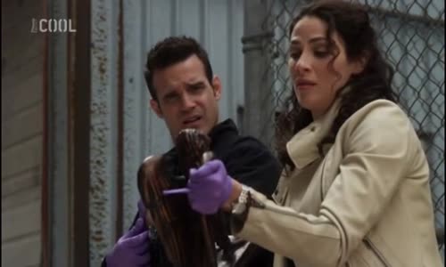 Warehouse 13 (Skladiste 13) S02E08 CzDab mp4