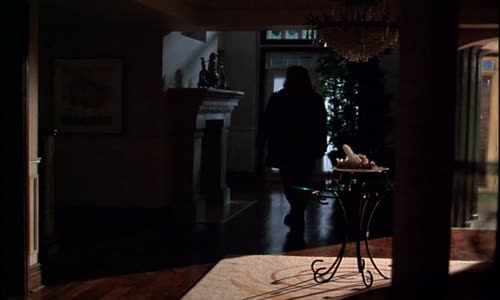 ABSOLUTNÍ PRÁVO 1996 (Terminal Justice 91 min Lorenzo Lamas, Chris Sarandon) avi