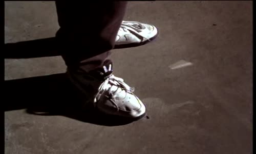 Zmije 1994 avi