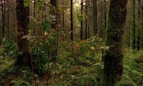 X-Files (Akta X) S05E04 CzDab avi