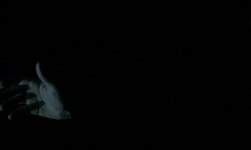 X-Files (Akta X) S09E02 CzDab avi