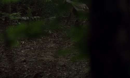 Skladiště 13 S04E12 Odpuštění CZdab H265 mkv