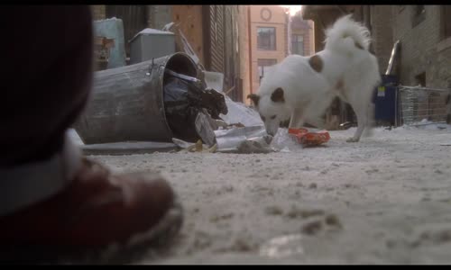 Sampioni (1992) CZ Dabing HD 1080p mp4