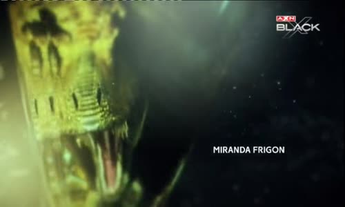 Pravěk - Nový svět S01E04 Hladoví ptáci CZdab avi